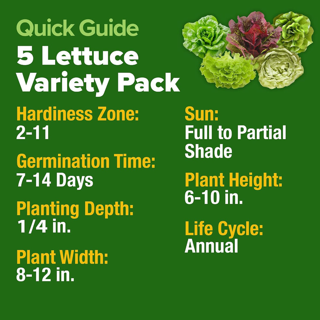 Home Grown Lettuce Seeds 5 Variety Mix 3950+ Bulk Pack Heirloom Non-Gmo, High Germination, Romaine, Bibb, Buttercrunch, Iceberg, Black Seeded Simpson, Indoor Outdoor Hydroponic Garden (Lactuca Sativa)