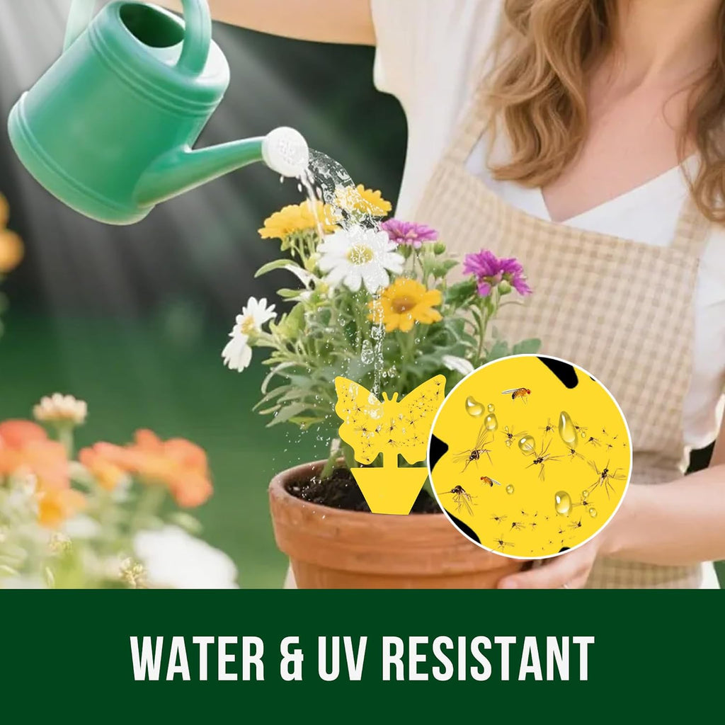 Garsum Fruit Fly Sticky Trap For Indoor And Outdoor, 36 Pack Fungus Gnat Killer For Houseplant,Mosquitos, Flying Insect, White Flies