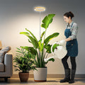6.3In Grow Lights For Indoor Plants, Full Spectrum Plant Light | Wood Grain Grow Lamp For Tall Plants, Auto Timer & Dimmable Setting, 10-60In Height Adjustable, Stylish Indoor Garden Decor