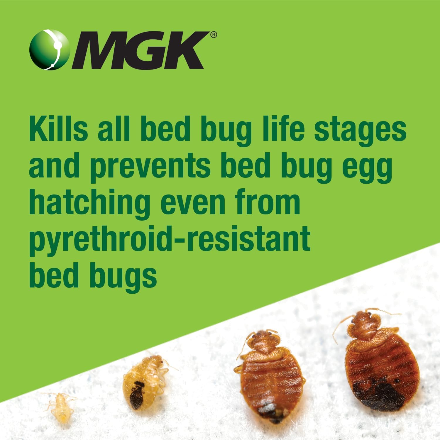 Mgk Crossfire Aerosol | Insecticide Spray | 17Oz Can | Indoor Bed Bug Killer, For Long-Lasting Bed Bug Control, Ready To Use