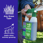 Commercial Grade Lawn Fertilizer With Iron- Liquid Fertilizer Spray- Nitrogen And Iron For Deeper Green Turf- Any Grass Type - Simple Lawn Solutions - Lawn Energizer - 32 Ounce