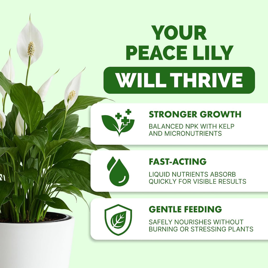 Peace Lily Fertilizer – Liquid Plant Food For More Blooms, Deep Green Leaves & Healthy Root Development, 8 Oz
