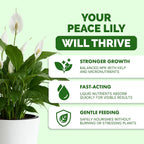 Peace Lily Fertilizer – Liquid Plant Food For More Blooms, Deep Green Leaves & Healthy Root Development, 8 Oz
