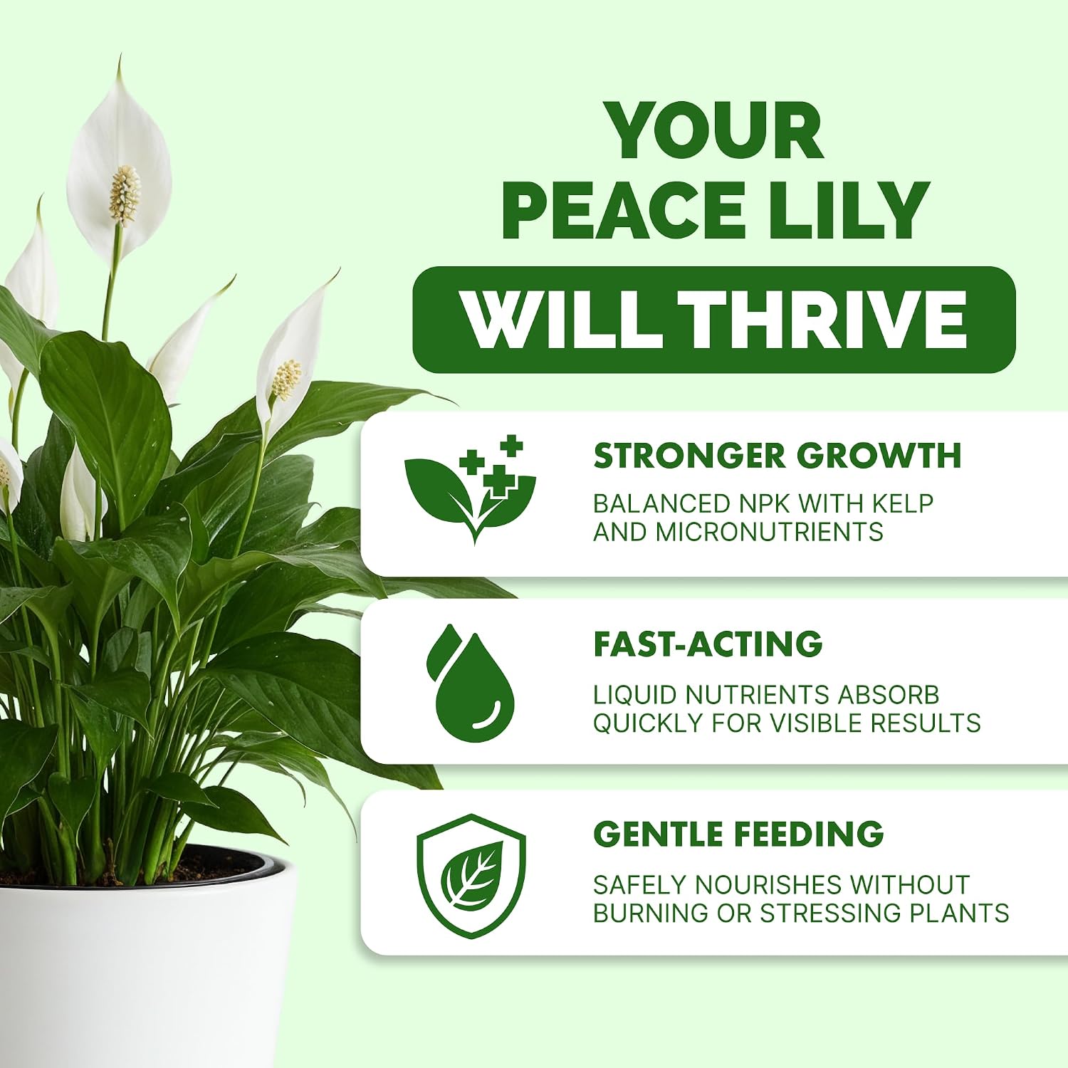 Peace Lily Fertilizer – Liquid Plant Food For More Blooms, Deep Green Leaves & Healthy Root Development, 8 Oz