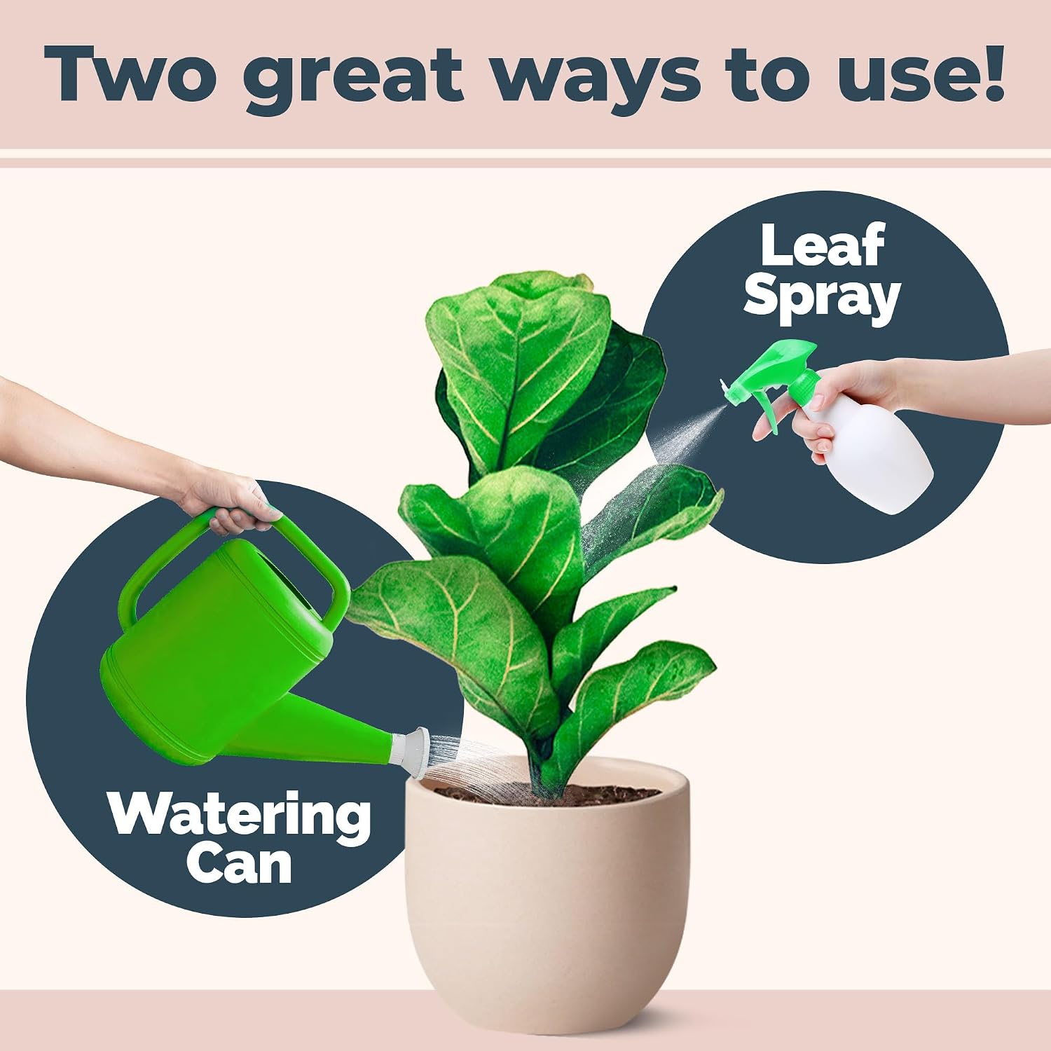 Fiddle Leaf Fig Plant Food – Liquid Fertilizer For Bigger Leaves, Stronger Roots & Healthy New Growth, 8Oz