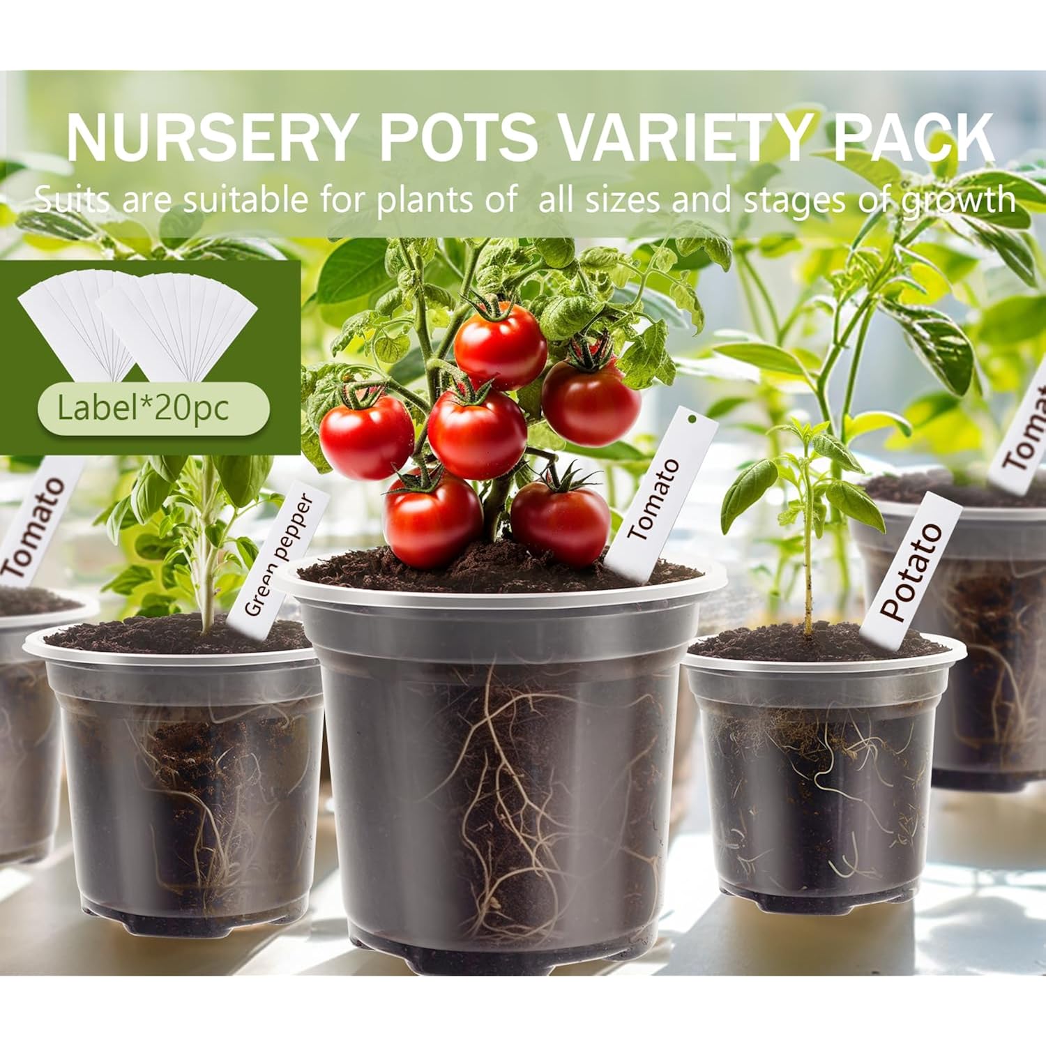 30 Pack Clear Nursery Plant Pots, 3.5/4/5 In With Drainage Holes, 20 Labels | High Transparency (Clear View Of Root Growth), Variety Pack, Good Drainage, 20 Pack Easy-Id Plant Labels
