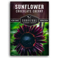 Chocolate Cherry Sunflower Seeds For Planting - 1 Pack | Rare Burgundy Black Blooms, 6-7 Ft Giant Flower, Heirloom Non-Gmo - Survival Garden Seeds