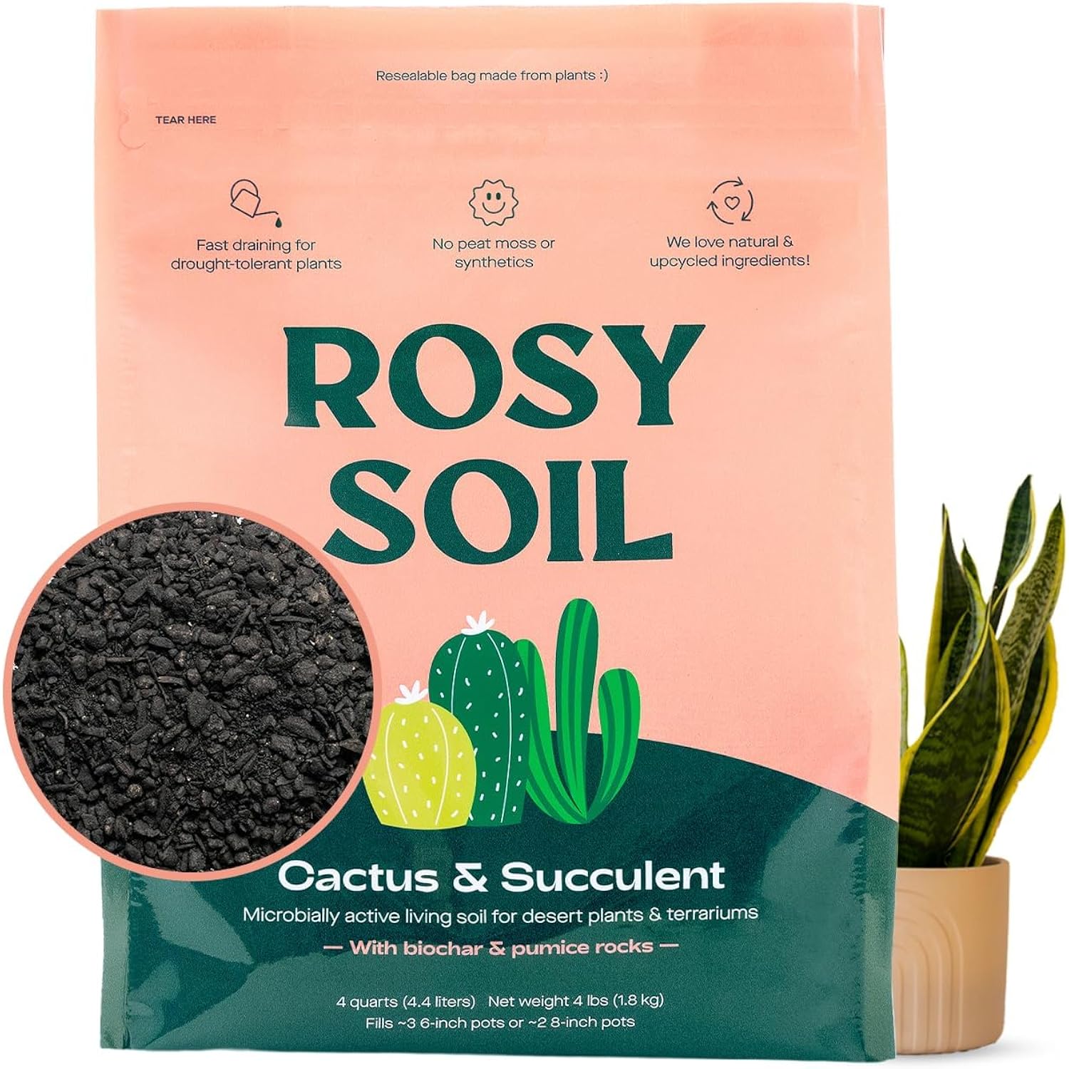 Rosy Soil Cactus & Succulent Potting Mix, 4 Quarts | Organic Succulent Potting Soil, Chunky Fast Draining, Peat-Free, Root Boosting Mix, For Aloevera, Cacti, Indoor Succulents