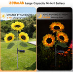 Solar Sunflower Lights Flowers Outdoor Waterproof For Yard Garden Cemetery | 800Ma Real Looking Stake Flower Bed Pathway Patio Porch Fall Decors