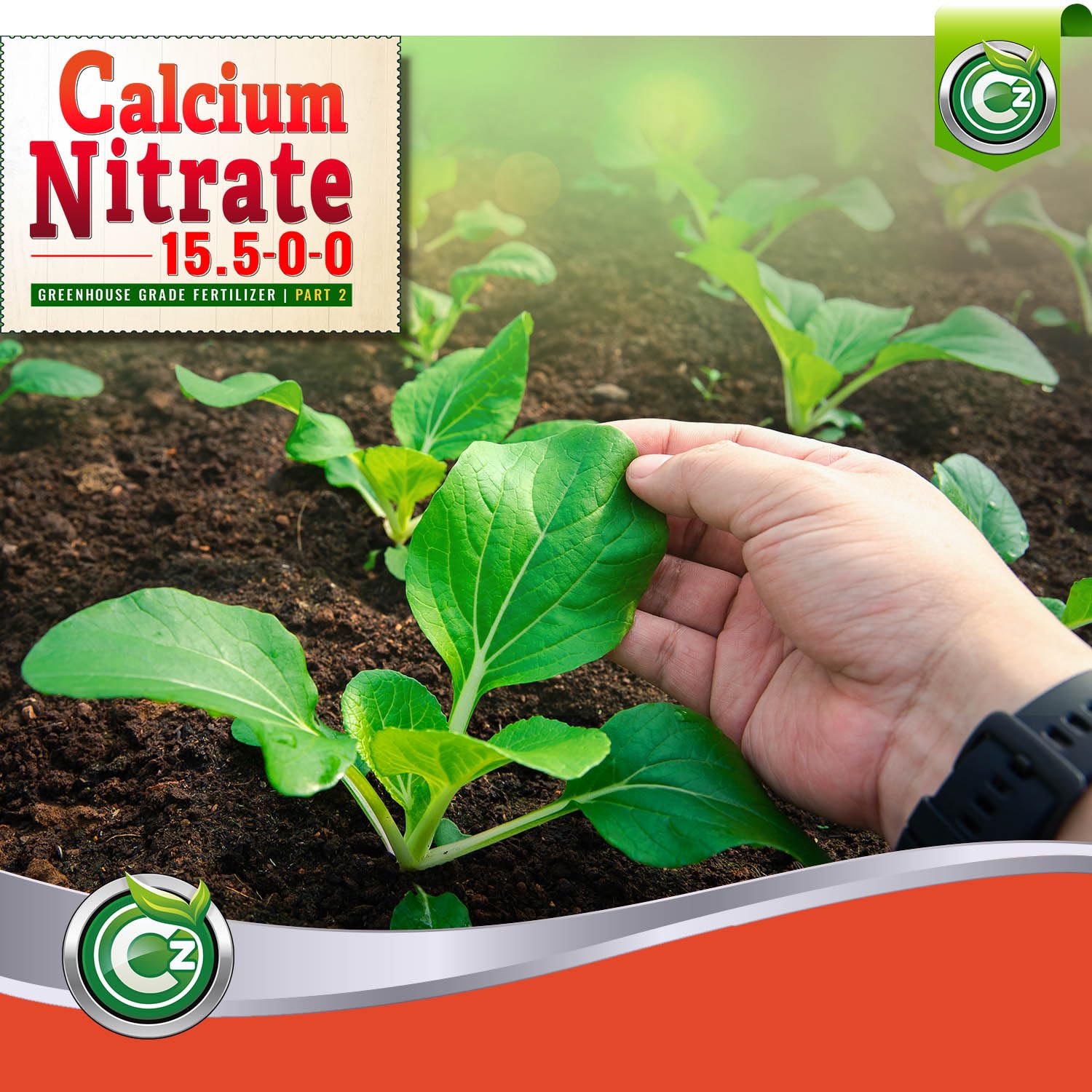 Calcium Nitrate 15.5-0-0 Fertilizer - Made In Usa - 5Lb Greenhouse Grade Plant Food For Hydroponics, Plants & Gardens – Fruit, Vegetables. Blossom End Rot Tomatoes