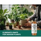 Kate'S Home & Garden Plant Spray For Insects & Getting Rid Of Gnats With 12 Sticky Traps. Fungus Gnat Killer & Bug Spray For Indoor Plants (16Oz, Peppermint, Pet Safe, Non Toxic)