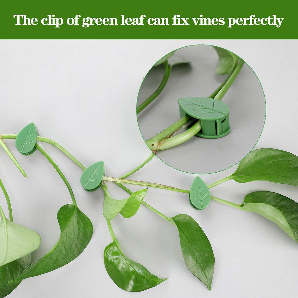 Geiserailie 60 Plant Climbing Clips Wall Fixture With 72 Stickers For Vine | Invisible Leaf Traction Fixer, Self-Adhesive Hook, Indoor Outdoor Use, Decoration, Clear Acrylic Sticker