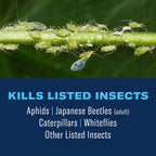 Bioadvanced Tree & Shrub Insect Killer Spray - Outdoor Pest Control - 32 Oz | Ready-To-Spray - Kills On Contact - Rainproof In 1 Hour - Up To 2 Weeks Protection