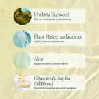Osea Undaria Algae™ Body Wash - Ph Balanced - Hydrating & Moisturizing Citrus Scented Cleanser - Clean, Vegan, Non-Toxic Skincare - 8Oz