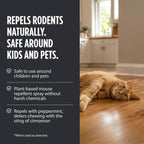 Grandpa Gus'S Rodent Repellent Spray, Natural Peppermint Oil, 16 Fl Oz | Peppermint Oil Spray For Rodents & Mice, Non-Staining Formula, For Cars, Rvs, Garages & Indoor Spaces, Kid & Pet Safe