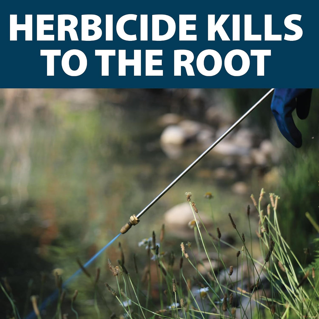 Airmax Shoreline Defense Emergent Weed Control Herbicide, 1 Quart | Concentrated Glyphosate Treatment Controls Phragmites, Pond Grass & Cattails In Aquatic Shoreline Areas