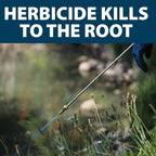 Airmax Shoreline Defense Emergent Weed Control Herbicide, 1 Quart | Concentrated Glyphosate Treatment Controls Phragmites, Pond Grass & Cattails In Aquatic Shoreline Areas