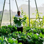 Garden Netting Pest Barrier: 4'X10' Fine Bug Netting For Garden Protection Row Cover Raised Bed Screen Mesh Greenhouse Mosquito Net, Protecting Tree Plants Vegetable Flowers Fruits