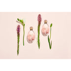 Sjp - Sweet, Floral, Musky Amber Woody Eau De Parfum Spray Fragrance For Women - With Notes Of Mandarin, Bergamot, Apple, And Cedarwood - Intense, Long Lasting Scent - 3.4 Oz