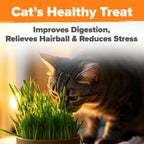 Home Grown Non Gmo 1 Pound Cat Grass 12,700+ Seeds & Kittens Oat & Barley Mix 100% Heirloom, Grow Fresh Kitty For Chewing, Pet Indoor Garden