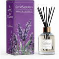 Scentsationals Water-Based Reed Diffuser - Cedar & Lavender - 5 Fl Oz Aromatherapy Reed Diffuser