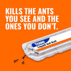 Terro, Ant Killer Bait Stations T300B - Liquid Bait To Eliminate Ants - Bait System - Stations For Effective Indoor Ant Control, 12 Count | Borax Formula, Kills The Queen & The Entire Colony, Liquid Ant Baits Indoor, Kills Household Ants, Indoor Use