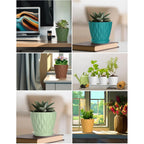 4 Inch Plant Pots, 6 Pack Indoor Flower Pots, Planters With Drainage Holes And Trays For Orchids, Violets, Succulents, Herbs, And Other Plants,Corolful