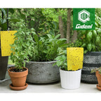 Gideal 20-Pack Dual-Sided Yellow Sticky Traps For Flying Plant Insect Such As Fungus Gnats, Whiteflies, Aphids, Leafminers,Thrips - (6X8 Inches, Included 20Pcs Twist Ties)