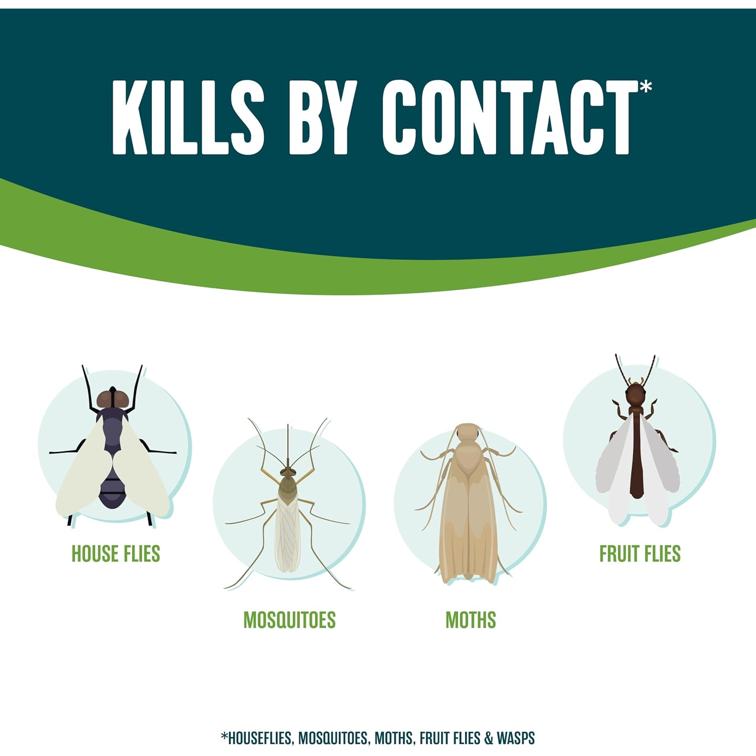 Ecologic Flying Insect Killer, 14 Ounces, Aerosol Formula Made With Cornmint Cinnamon And Clove Oil Kills Houseflies, Mosquitoes, Moths, Fruit Flies, Gnats And Wasps By Contact