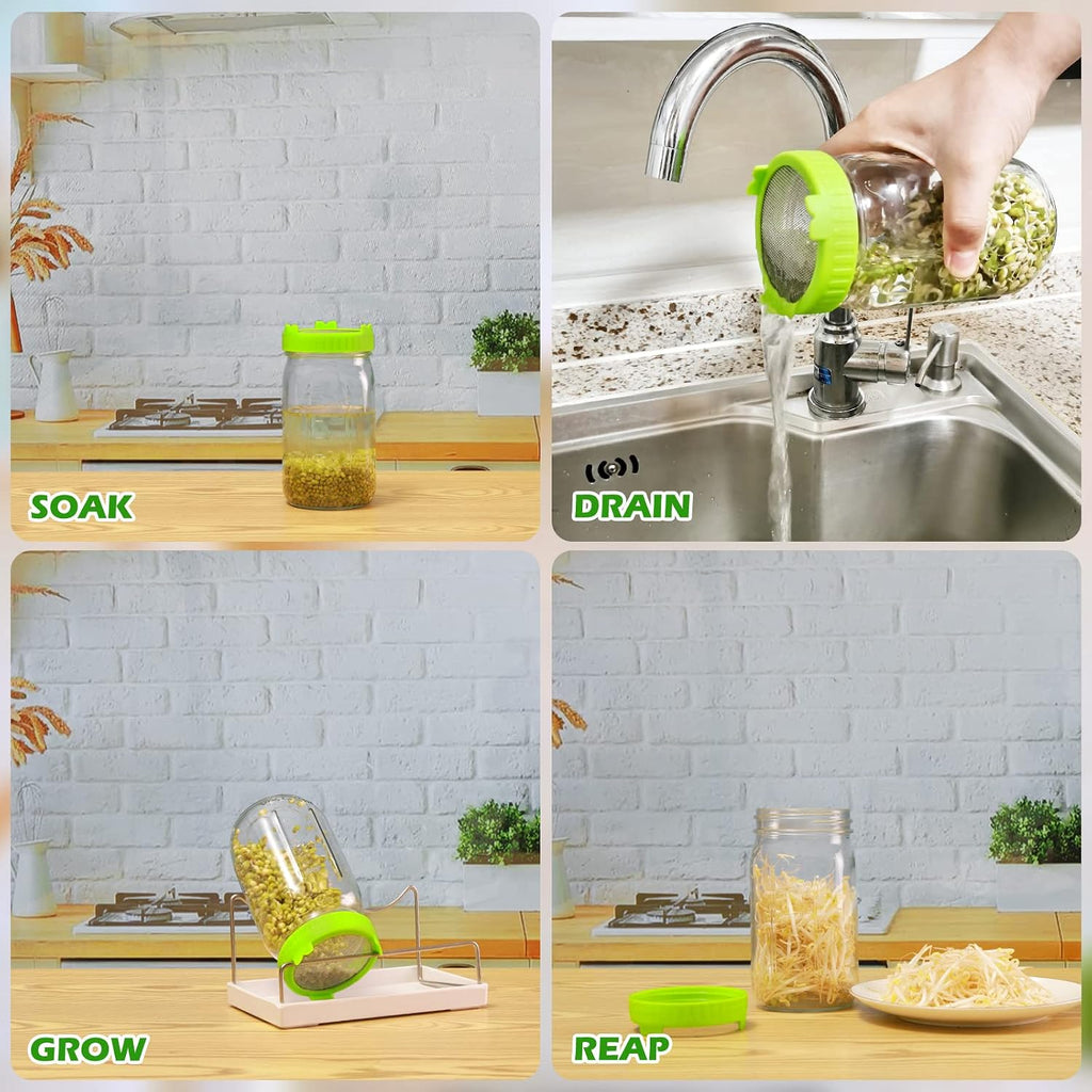 Seed Sprouting Kit, 2 Large Wide Mouth Mason Jars With Sprout Lids, Blackout Sleeves, Drain Tray, Stainless Steel Stand, Sprouts Growing Kit For Bean, Broccoli, Alfalfa (Yellow+Green)