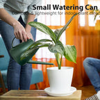 60 Oz Watering Can For Indoor Plants, Small Plastic Watering Cans With Removable Nozzle, Long Spout Indoor Water Can For House Plants, Garden Flowers (1.8L, 0.5 Gal)