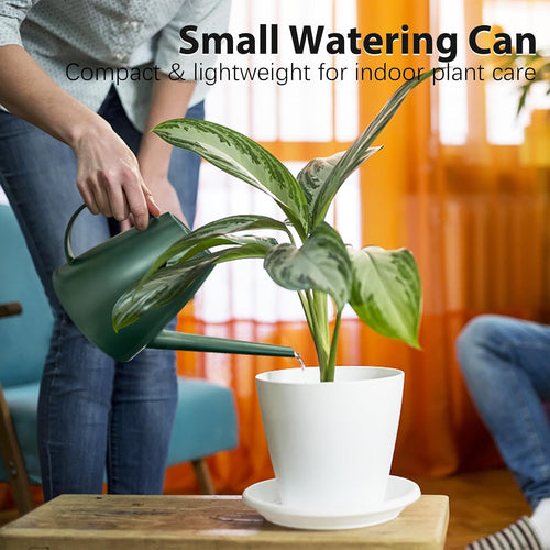 60 Oz Watering Can For Indoor Plants, Small Plastic Watering Cans With Removable Nozzle, Long Spout Indoor Water Can For House Plants, Garden Flowers (1.8L, 0.5 Gal)