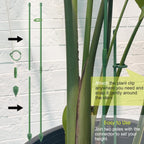Rifny Plant Stakes For Indoor Plants, 14 Inch Plant Support Stakes With Clips, Tall Adjustable Plant Sticks For Indoor Monstera Tomato Orchid Potted Plants Flower (6 Pcs, Green)