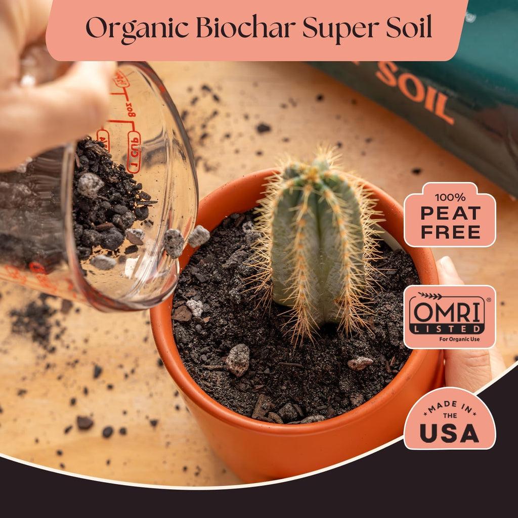 Rosy Soil Cactus & Succulent Potting Mix, 4 Quarts | Organic Succulent Potting Soil, Chunky Fast Draining, Peat-Free, Root Boosting Mix, For Aloevera, Cacti, Indoor Succulents