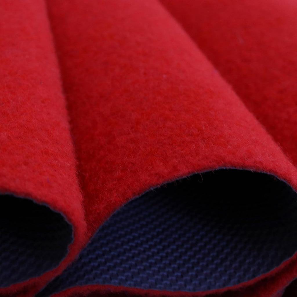 3x10 ft Extra Thick Red Carpet Runner for Party & Events,Festival Celebration,Prom Proposal & Wedding, Graduation Ceremony, Award Ceremony,VIP Reception,Heavy-Duty Red Rug