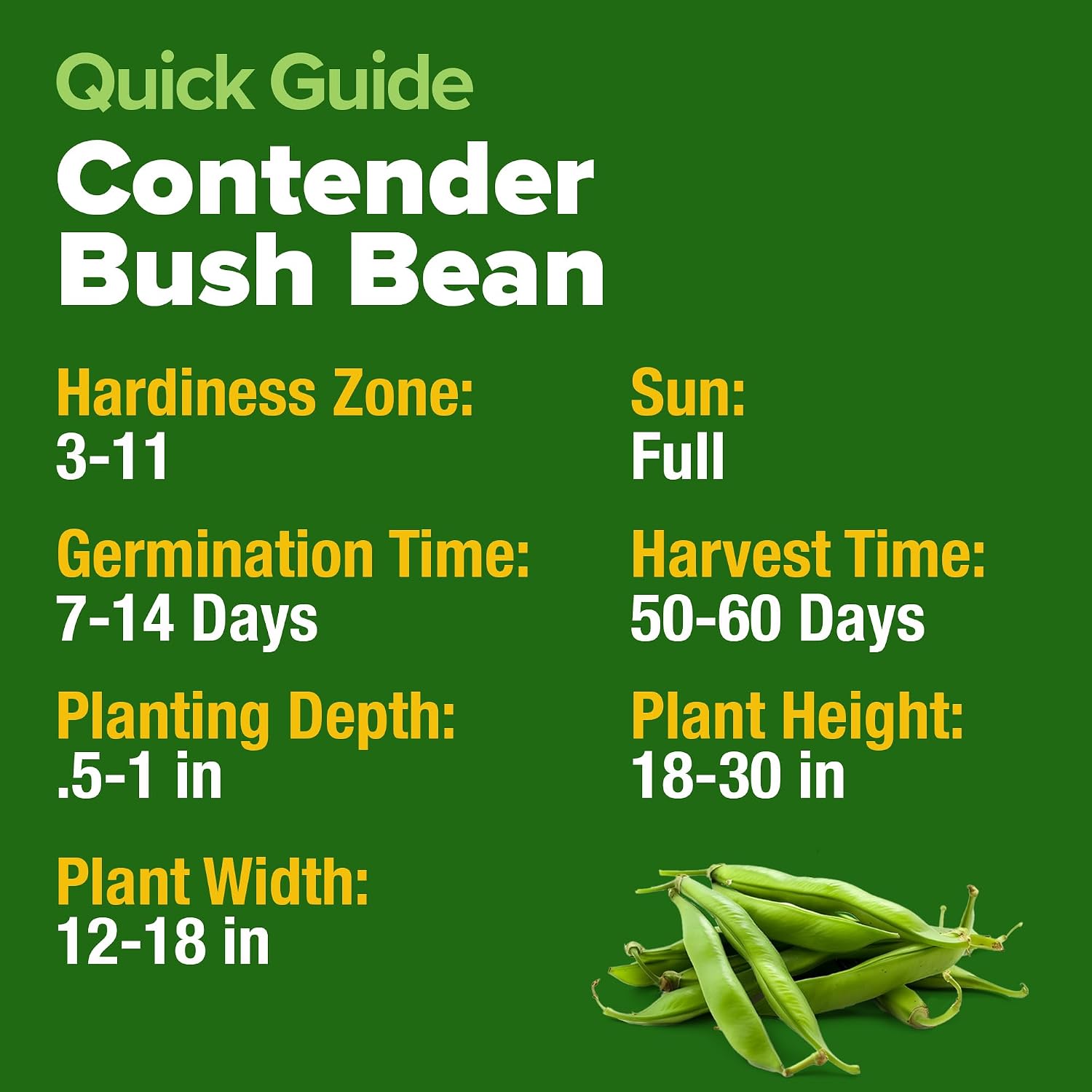 Home Grown Contender Bush Bean Seeds 28+ Heirloom Non-Gmo, High Germination, Stringless Green Beans For Planting, Early Harvest, Emergency Food Supply, Fresh Eating & Canning (Phaseolus Vulgaris)