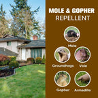 Lebmp Mole Repellent, Gopher Repellent, Groundhogs Repellant Outdoor, Vole Deterrent, Armadillo Repellent For Lawns, Keep Mole Out Of Yard, Get Rid Of Gophers, Covers Up To 120 Sq Ft-8Pcs