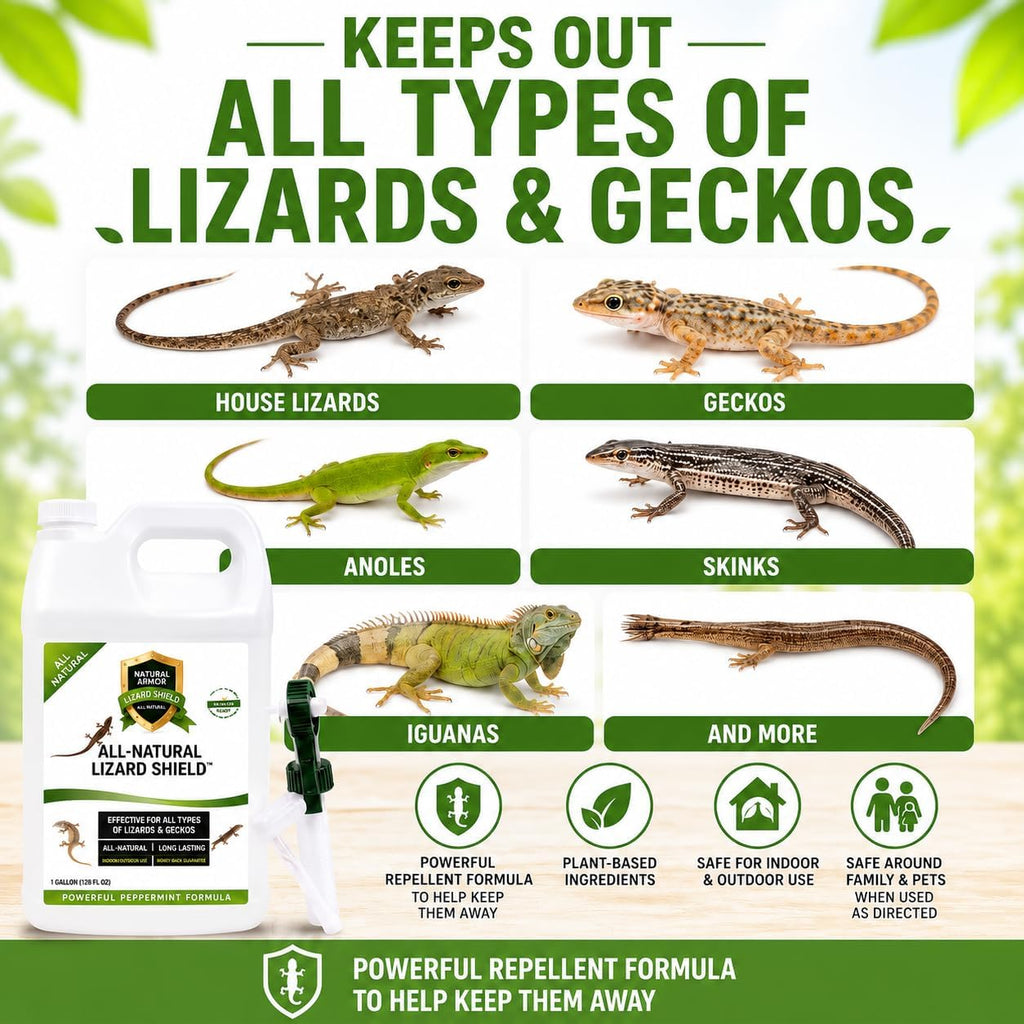 Lizard & Gecko Repellent Spray - Powerful Peppermint Formulation Repels All Types Of Lizards & Geckos And Works Better Than Ultrasonic Gimmicks – 128 Fl Oz - Gallon Ready To Use