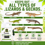 Lizard & Gecko Repellent Spray - Powerful Peppermint Formulation Repels All Types Of Lizards & Geckos And Works Better Than Ultrasonic Gimmicks – 128 Fl Oz - Gallon Ready To Use