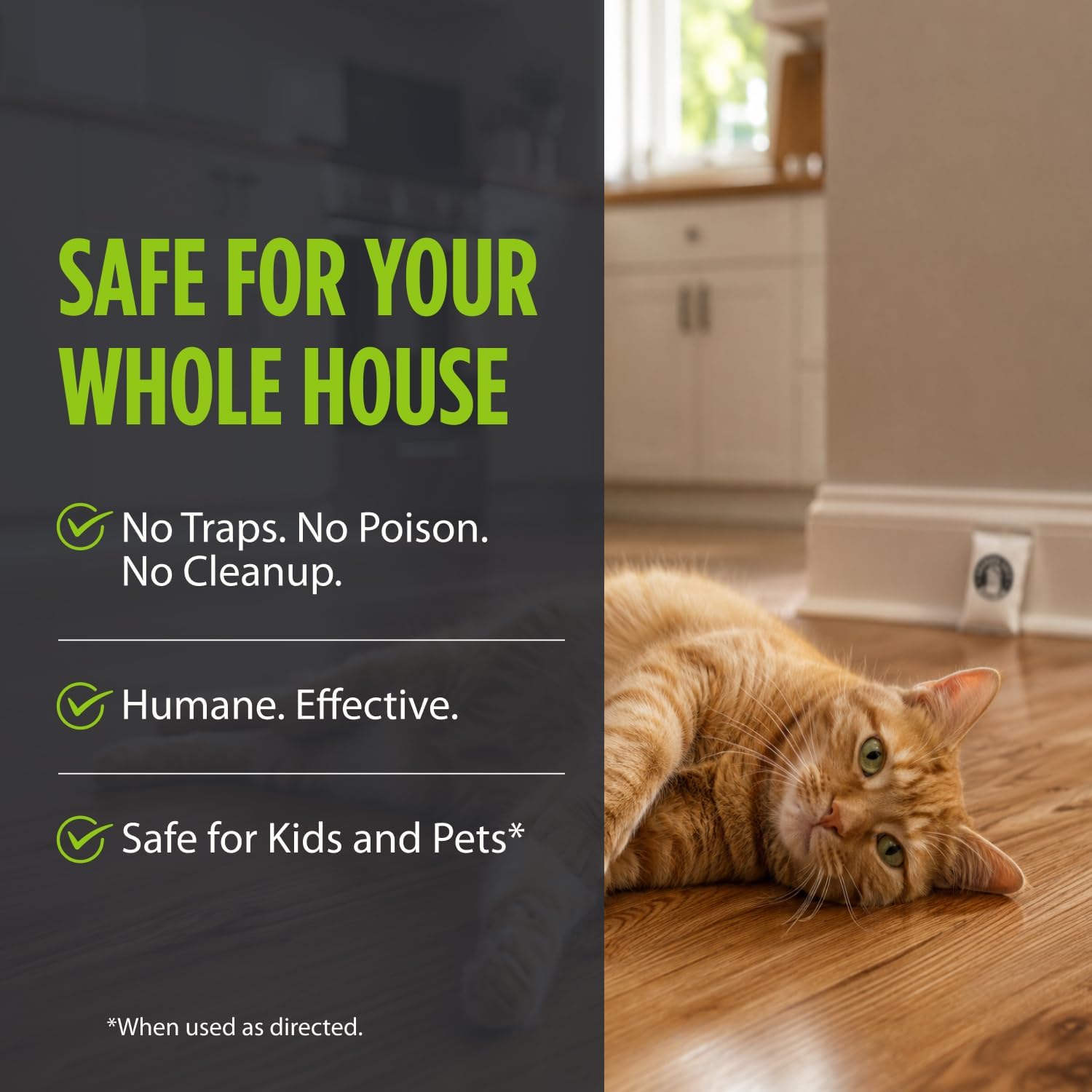 Grandpa Gus'S Mouse Repellent Pouches, Natural Peppermint Oil, 10 Pouches | Cinnamon & Peppermint Oil Helps Repel Mice From Nesting In Home/Cabin/Boat/Car Storage/Rv/Machinery/Shed, Kid & Pet Safe