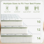 Queen Mattress 12 Inch,Medium Firm Hybrid Queen Size Mattress In A Box, Memory Foam With Individual Pocket Springs, Upgrade Zoned Support, Motion Isolation&Pressure Relief, Certipur-Us