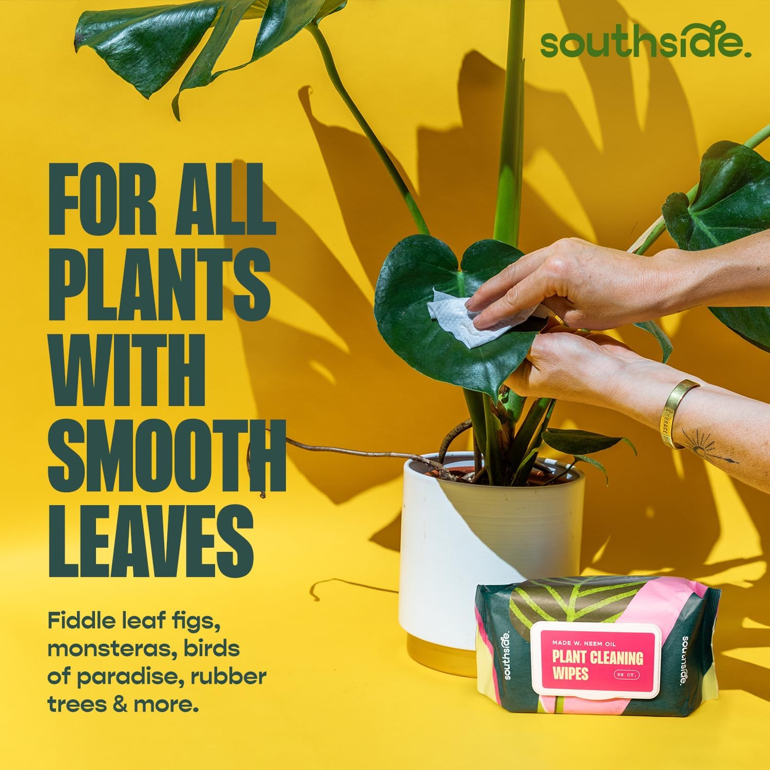 Southside Neem Oil Infused Plant Cleaning Wipes – Unscented Plant-Based Leaf Wipes For Indoor & Outdoor Plants That Protect Plants, Promote Shiny Leaves & Better Photosynthesis, 80 Ct
