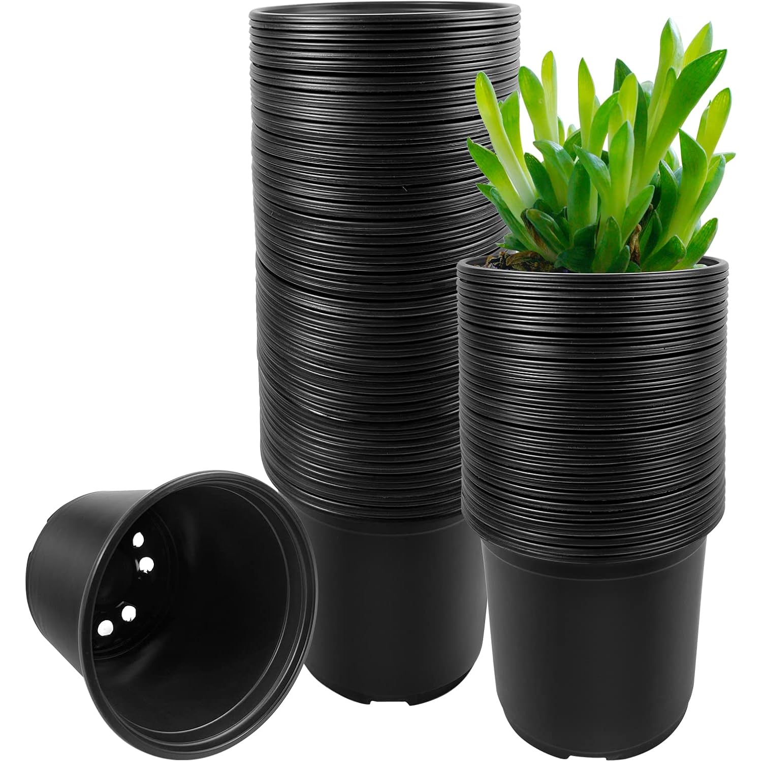 Raookif 100 Pack Nursery Pots, 4 5 6 Inch Nursery Pot For Plants, Plastic Plant Pots With Drainage Holes, Garden Flower Pots For Transplanting, Succulents, Cuttings, Seedlings(4Inch,100Pcs)