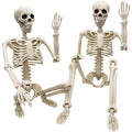 2 Pack 36"Halloween Skeleton - 3 Ft Life Size Human Skeleton With Full Body Posable Joints Plastic Skeleton For Halloween Skeletons Decor Yard Patio Lawn Garden Skeleton Props Spooky Party Decoration