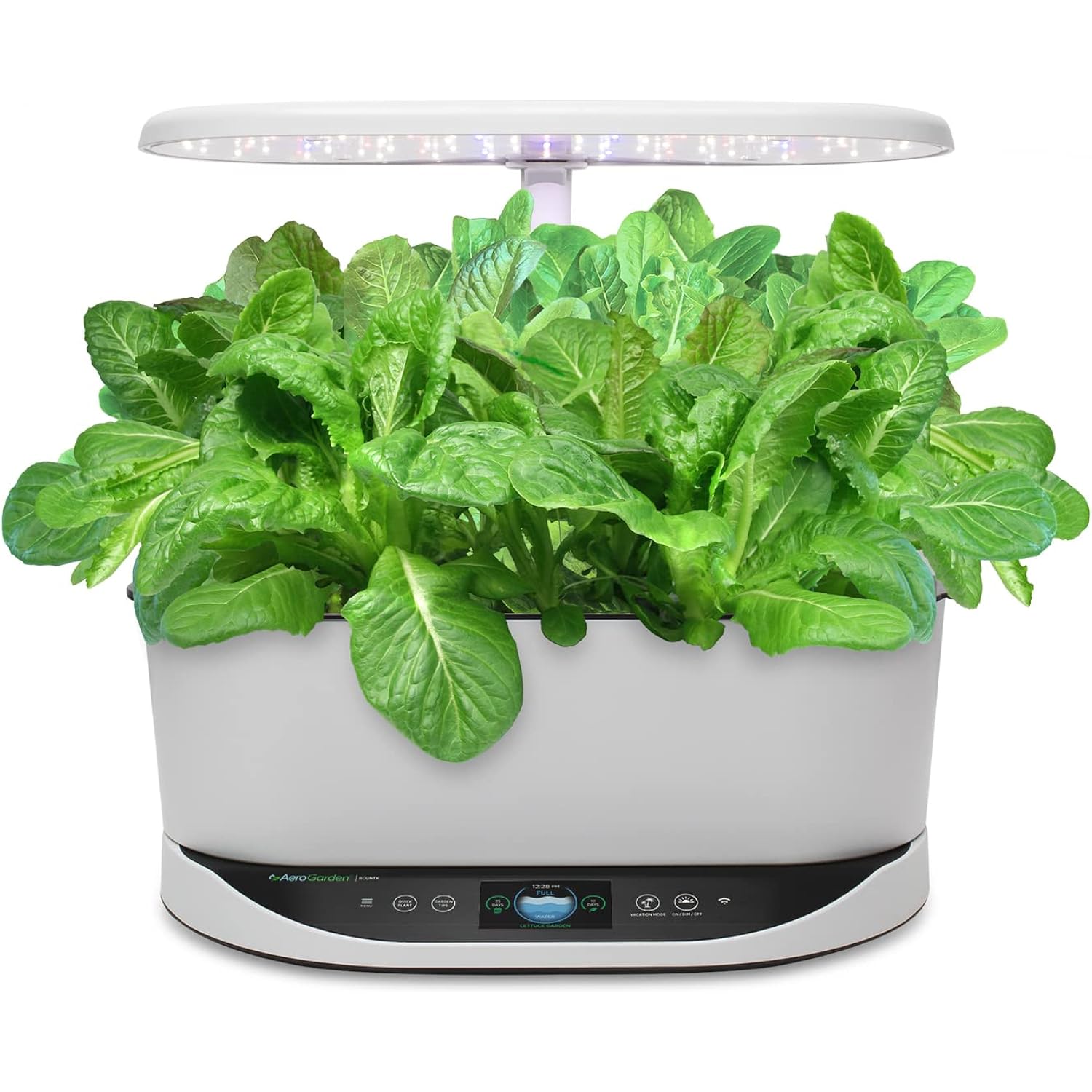 Aerogarden Mixed Romaine Lettuce Seed Pod Kit, 9-Pod | Lettuce Seed Pod Kit For Aerogarden Hydroponic Indoor Gardens