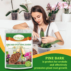 2 Quarts Organic Orchid Potting Bark- All Natural Orchid Bark Potting Mix Pine Bark Wood Chips For Houseplant Mulch, Orchid Plants Root Development, Mulch For Potted Plants