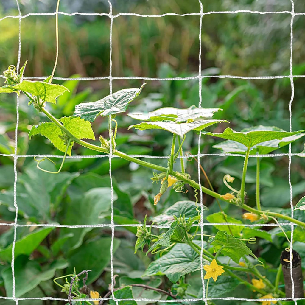 Heavy-Duty Polyester Garden Trellis Netting Plant Climbing Net For Growing Vines Plants Vegetables Fruits Flowers, White Grow Tent (5Ft X15Ft, 3.5" Opening Mesh, 1 Pack)