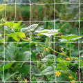 Heavy-Duty Polyester Garden Trellis Netting Plant Climbing Net For Growing Vines Plants Vegetables Fruits Flowers, White Grow Tent (5Ft X15Ft, 3.5" Opening Mesh, 1 Pack)