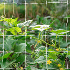 Heavy-Duty Polyester Garden Trellis Netting Plant Climbing Net For Growing Vines Plants Vegetables Fruits Flowers, White Grow Tent (5Ft X15Ft, 3.5" Opening Mesh, 1 Pack)