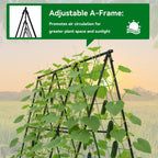 Cucumber Trellis - 49.4"*49.4" Metal Garden Trellis For Climbing Plants, Garden Trellis With Plastic-Coated Steel Pipe, A Frame Trellis For Cucumbers, Peas, Morning Glories(Black)